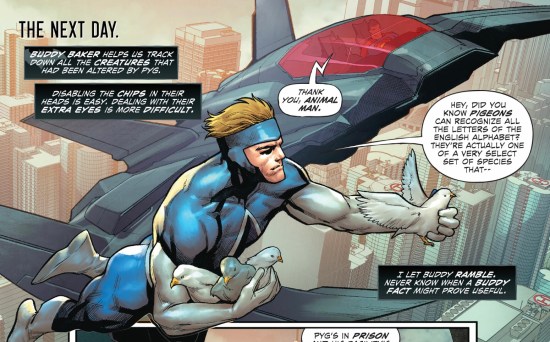 animal-man-batman-superman-future-state-2-2021